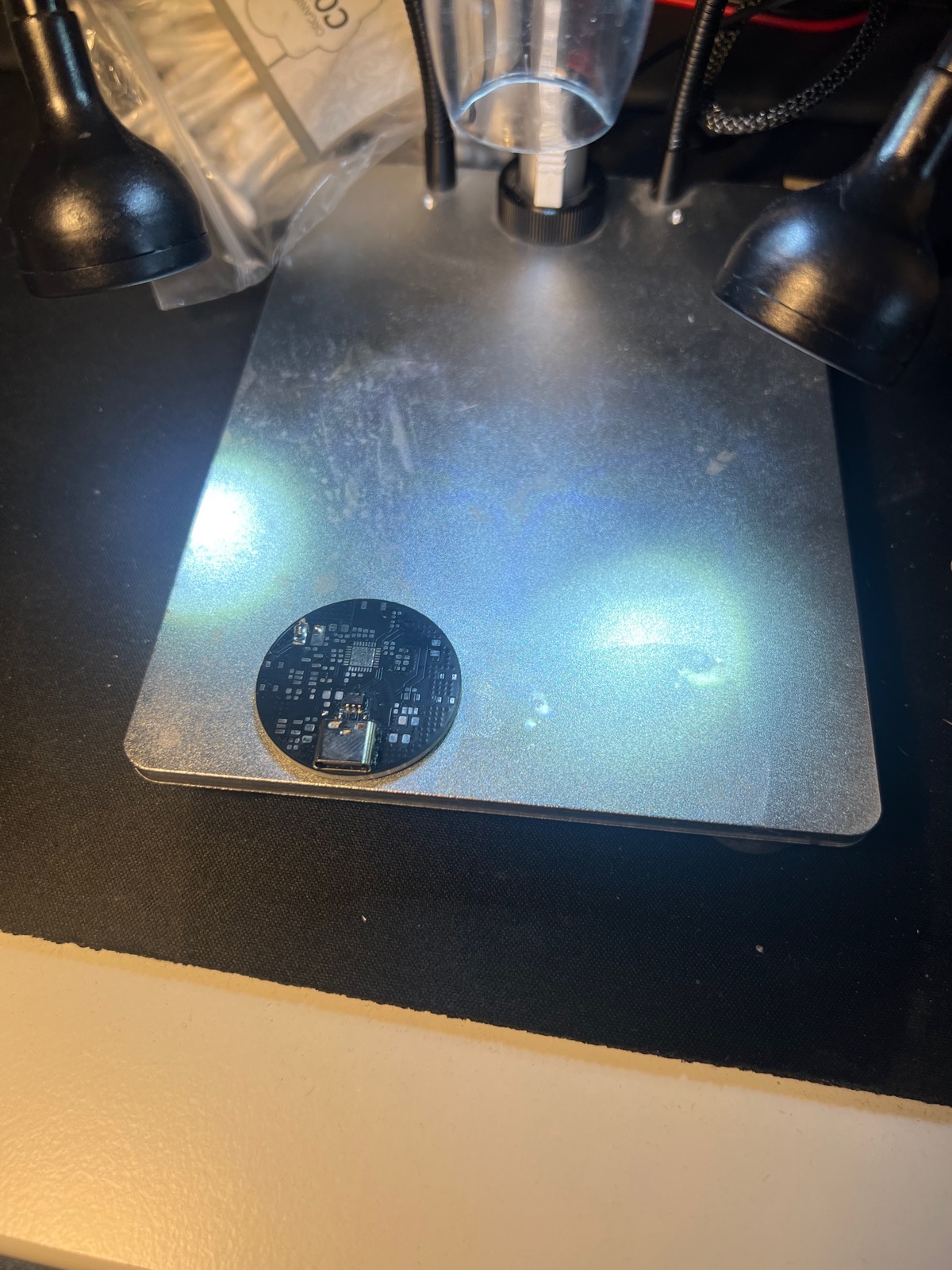 The assembled back, on the microscope stage.