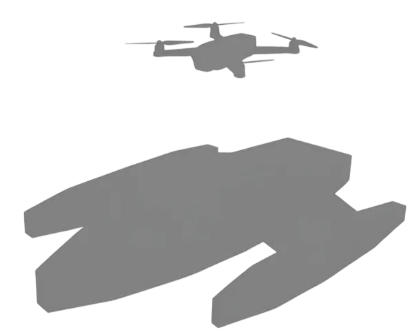 Mobula